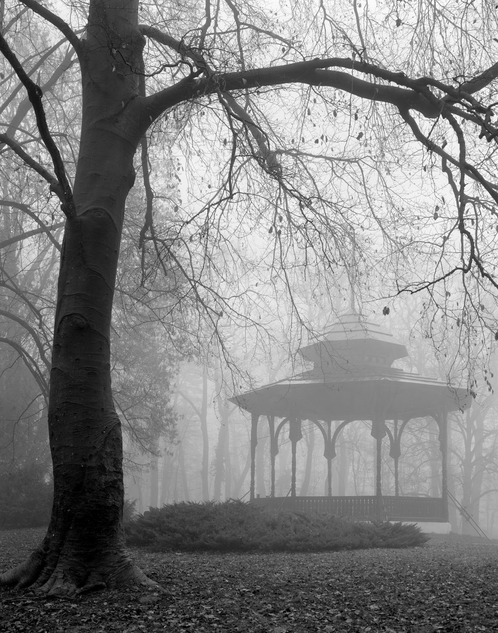 Paviljon Tuškanac u jesen. Umjetnička fotografijau